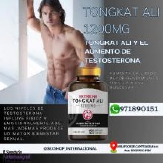 SUPLEMENTO TONGKATALI-1200MG-AUMENTA LA TESTOSTERONA-SEXSHOP LIMA 971890151